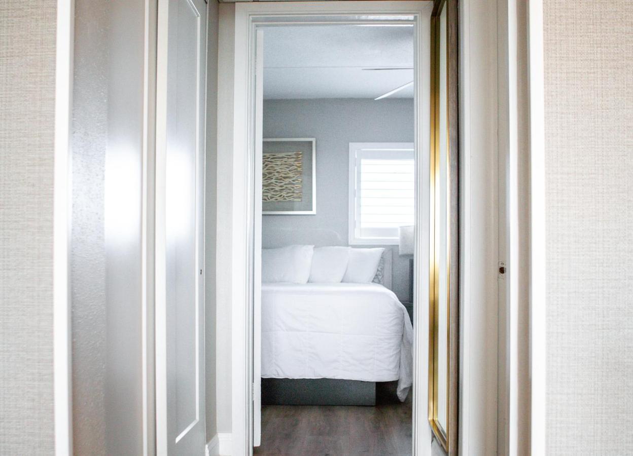 Bristol Plaza Motel 3*