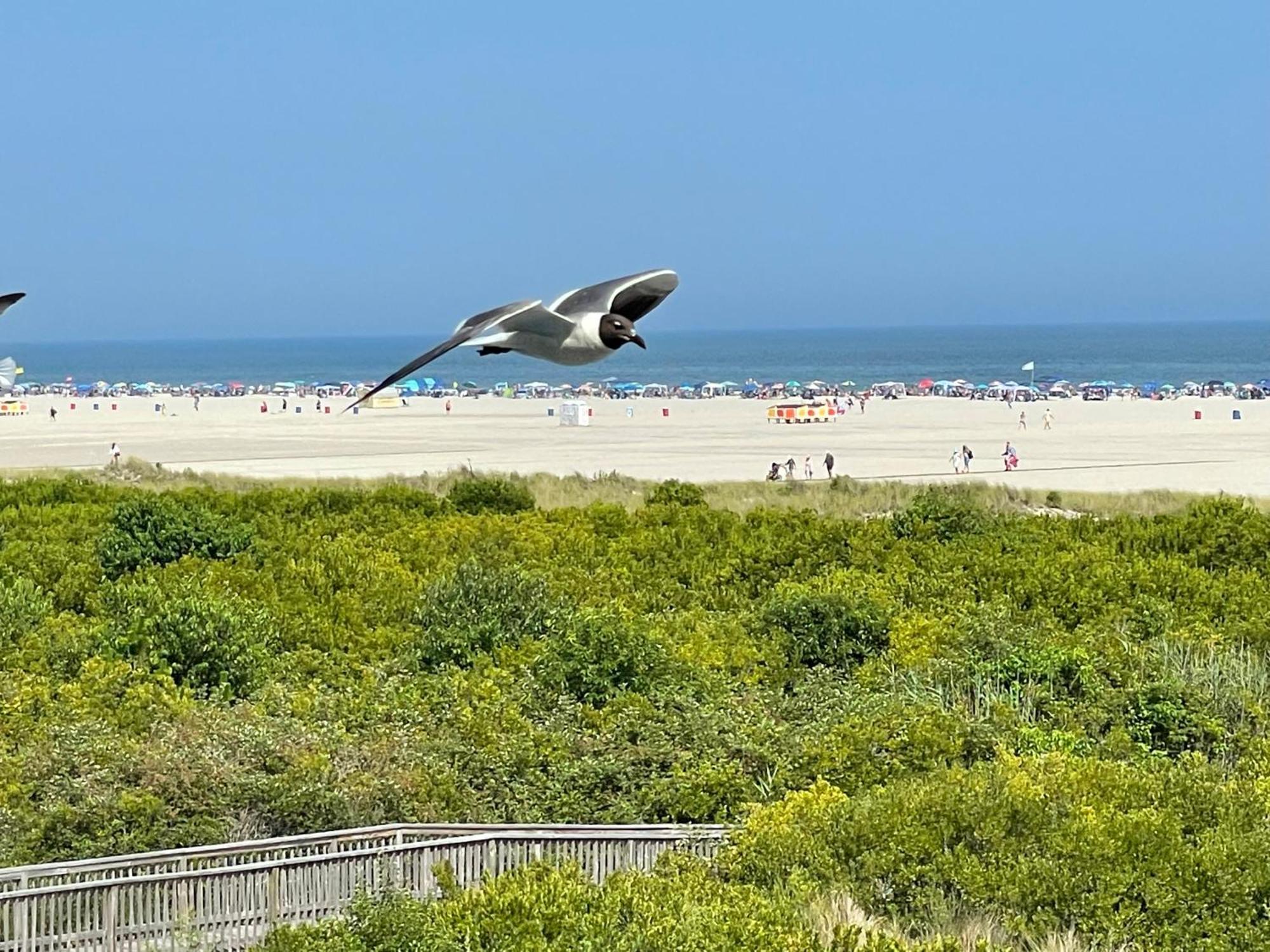 Motel Colony Wildwood Crest