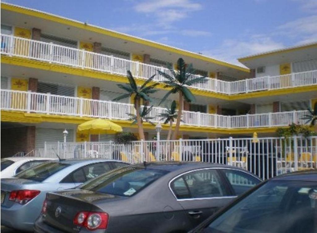 American Safari Motel 3*