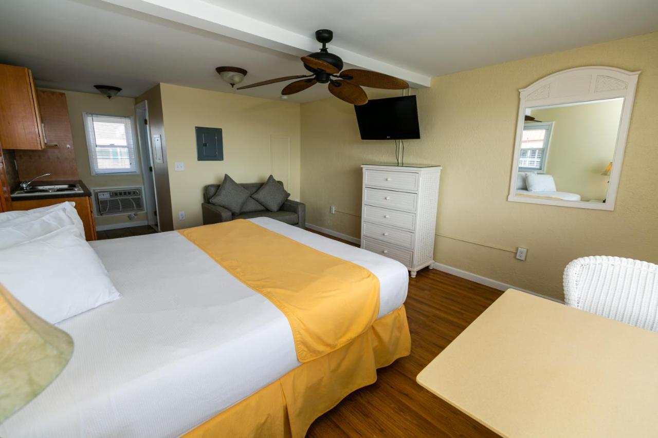 American Safari Motel