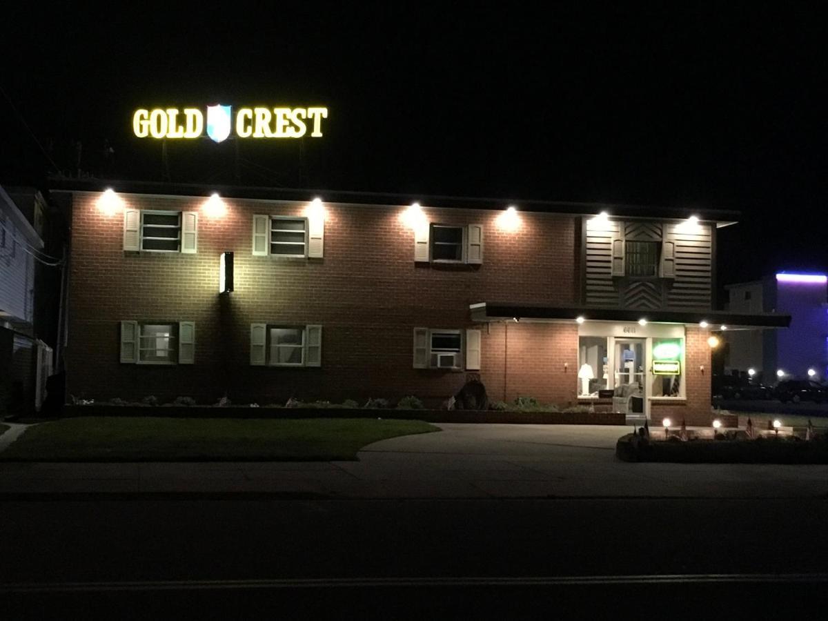 Gold Crest