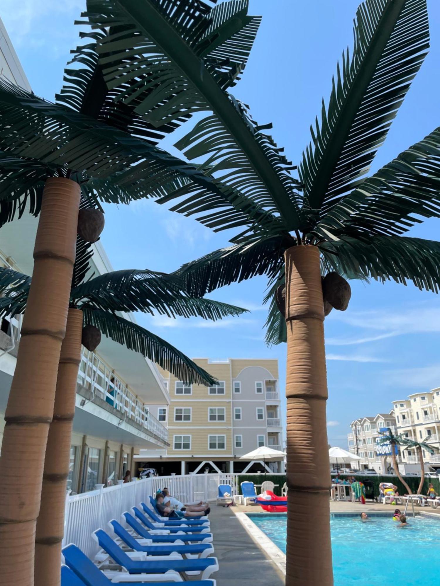 Colony 3* Wildwood Crest