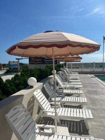 Coliseum Ocean Motel 3*
