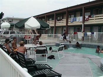 Cozy Crest Motel 2*
