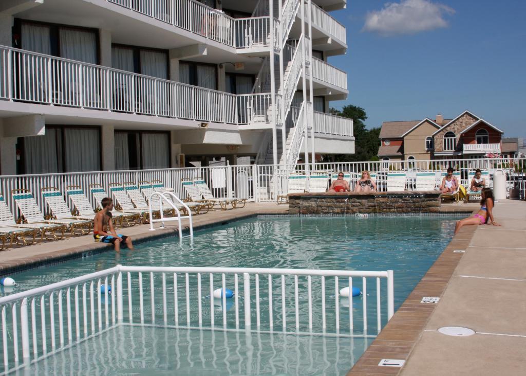 Lotus 2* Wildwood Crest